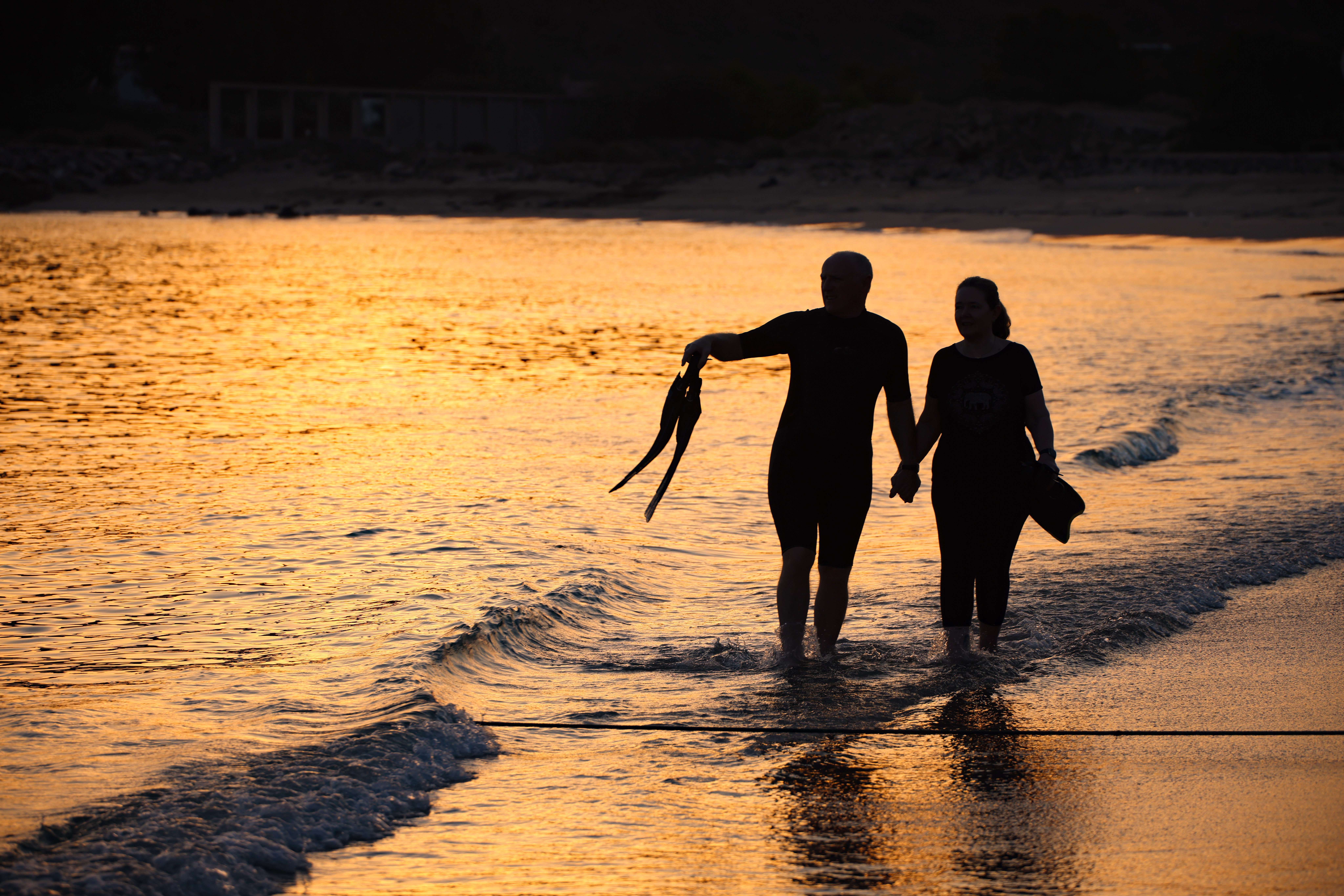 Luxury turtle snorkeling near Dubai at sunset beach in Fujairah
